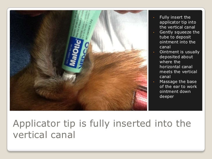 malotic ear drops for dogs