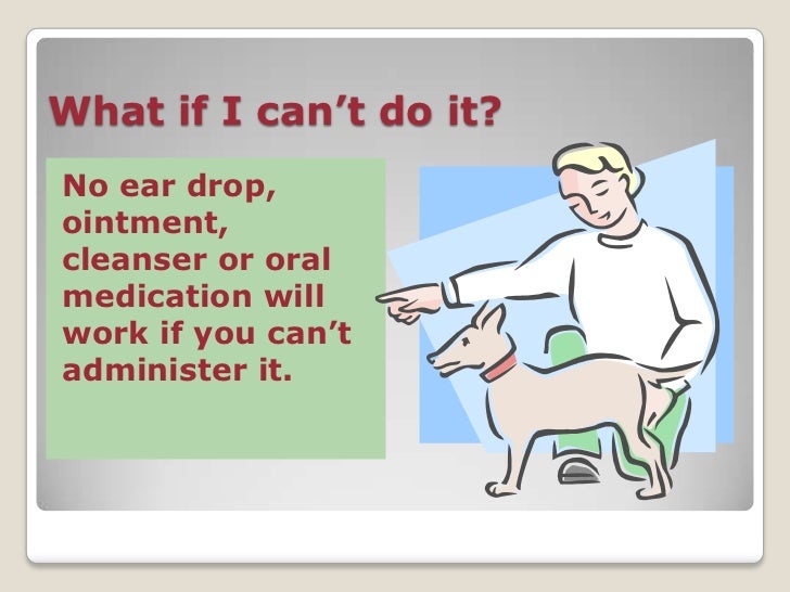 My Dog Has Otitis! Now What?