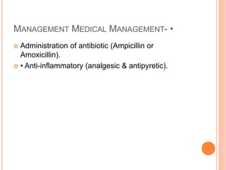MANAGEMENT MEDICAL MANAGEMENT- •
 Administration of antibiotic (Ampicillin or
Amoxicillin).
 • Anti-inflammatory (analgesic & antipyretic).
 