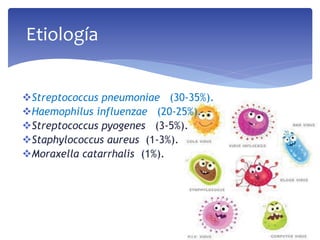 Etiología
Streptococcus pneumoniae (30-35%).
Haemophilus influenzae (20-25%).
Streptococcus pyogenes (3-5%).
Staphylococcus aureus (1-3%).
Moraxella catarrhalis (1%).
 