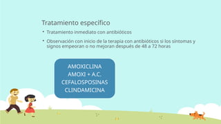 Tratamiento específico
 Tratamiento inmediato con antibióticos
 Observación con inicio de la terapia con antibióticos si los síntomas y
signos empeoran o no mejoran después de 48 a 72 horas
AMOXICLINA
AMOXI + A.C.
CEFALOSPOSINAS
CLINDAMICINA
 