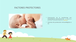 FACTORES PROTECTORES
 Colonización de la nasofaringe por
otopatógenos bacterianos (p. Ej., Streptococcus
pneumoniae , Haemophilus influenzae no tipificable )
 Factores de protección inmunológicos o
no
 