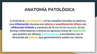 ANATOMÍA PATOLÓGICA
A nivel de la caja timpánica en los estadios iniciales se observa
una inflamación mucosa con edema y vasodilatación difusa con
infiltración linfoide y aumento de la secreción mucosa. En las
formas inflamatorias crónicas se aprecian áreas de hipertrofia
que pueden ser difusas, granulaciones o localizadas con la
formación de pólipos, que generalmente suelen ser únicos.
 