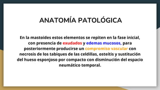ANATOMÍA PATOLÓGICA
En la mastoides estos elementos se repiten en la fase inicial,
con presencia de exudados y edemas mucosos, para
posteriormente producirse un compromiso vascular con
necrosis de los tabiques de las celdillas, osteítis y sustitución
del hueso esponjoso por compacto con disminución del espacio
neumático temporal.
 
