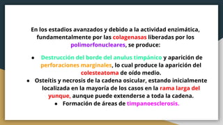En los estadios avanzados y debido a la actividad enzimática,
fundamentalmente por las colagenasas liberadas por los
polimorfonucleares, se produce:
● Destrucción del borde del anulus timpánico y aparición de
perforaciones marginales, lo cual produce la aparición del
colesteatoma de oído medio.
● Osteítis y necrosis de la cadena osicular, estando inicialmente
localizada en la mayoría de los casos en la rama larga del
yunque, aunque puede extenderse a toda la cadena.
● Formación de áreas de timpanoesclerosis.
 