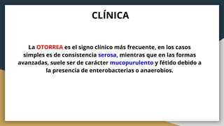 CLÍNICA
La OTORREA es el signo clínico más frecuente, en los casos
simples es de consistencia serosa, mientras que en las formas
avanzadas, suele ser de carácter mucopurulento y fétido debido a
la presencia de enterobacterias o anaerobios.
 