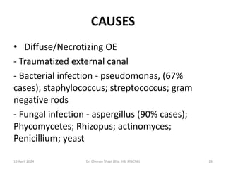 CAUSES
• Diffuse/Necrotizing OE
- Traumatized external canal
- Bacterial infection - pseudomonas, (67%
cases); staphylococcus; streptococcus; gram
negative rods
- Fungal infection - aspergillus (90% cases);
Phycomycetes; Rhizopus; actinomyces;
Penicillium; yeast
15 April 2024 Dr. Chongo Shapi (BSc. HB, MBChB) 28
 