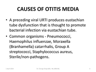 CAUSES OF OTITIS MEDIA
• A preceding viral URTI produces eustachian
tube dysfunction that is thought to promote
bacterial infection via eustachian tube.
• Common organisms - Pneumococci,
Haemophilus influenzae, Moraxella
(Branhamella) catarrhalis, Group A
streptococci, Staphylococcus aureus,
Sterile/non-pathogens.
1 April 2024 Dr. Chongo Shapi (BSc. HB, MBChB) 6
 