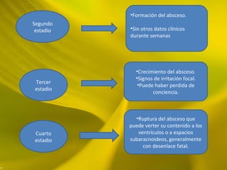 Segundo
estadio
•Formación del absceso.
•Sin otros datos clínicos
durante semanas
Tercer
estadio
•Crecimiento del absceso.
•Signos de irritación focal.
•Puede haber perdida de
conciencia.
Cuarto
estadio
•Ruptura del absceso que
puede verter su contenido a los
ventrículos o a espacios
subaracnoideos, generalmente
con desenlace fatal.
 