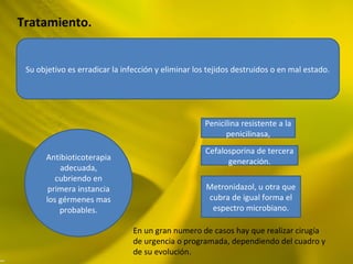 Tratamiento.
Su objetivo es erradicar la infección y eliminar los tejidos destruidos o en mal estado.
Antibioticoterapia
adecuada,
cubriendo en
primera instancia
los gérmenes mas
probables.
Penicilina resistente a la
penicilinasa,
Cefalosporina de tercera
generación.
Metronidazol, u otra que
cubra de igual forma el
espectro microbiano.
En un gran numero de casos hay que realizar cirugía
de urgencia o programada, dependiendo del cuadro y
de su evolución.
 