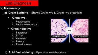Lab Diagnosis
2) Microscopy
a) Gram Staining – Shows Gram +vs & Gram –ve organism
 Gram +ve
i. Peptococcus
ii. Peptostreotococcus
 Gram Negative
i. Bacteroids
ii. E. Coli
iii. Klebsiella
iv. Proteus
v. Pseudomonas
b) Acid Fast staining :- Mycobacterium tuberculosis
 