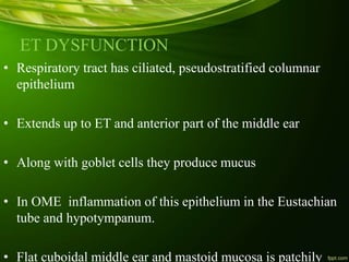 ET DYSFUNCTION
• Respiratory tract has ciliated, pseudostratified columnar
epithelium
• Extends up to ET and anterior part of the middle ear
• Along with goblet cells they produce mucus
• In OME inflammation of this epithelium in the Eustachian
tube and hypotympanum.
• Flat cuboidal middle ear and mastoid mucosa is patchily
 
