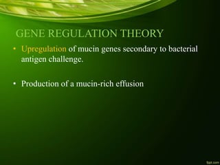 GENE REGULATION THEORY
• Upregulation of mucin genes secondary to bacterial
antigen challenge.
• Production of a mucin-rich effusion
 