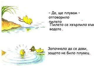 – Да, ще плувам –
отговорило
пилето
.
Започнало да се дави,
защото не било плувец.
Пилето се хвърлило във
водата .
 