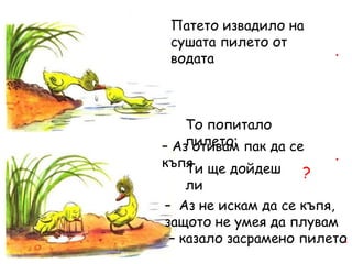 Патето извадило на
сушата пилето от
водата
.
То попитало
пилето:
– Аз отивам пак да се
къпя
.
Ти ще дойдеш
ли
?
– Аз не искам да се къпя,
защото не умея да плувам
– казало засрамено пилето
.
 