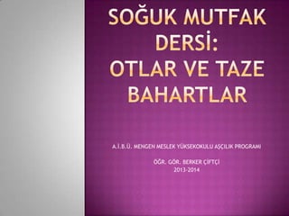 A.İ.B.Ü. MENGEN MESLEK YÜKSEKOKULU AŞÇILIK PROGRAMI
ÖĞR. GÖR. BERKER ÇİFTÇİ
2013-2014

 