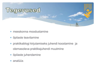  meeskonna moodustamine
 õpilaste teavitamine
 praktikablogi kirjutamiseks juhendi koostamine ja
olemasoleva praktikajuhendi muutmine
 õpilaste juhendamine
 analüüs
 