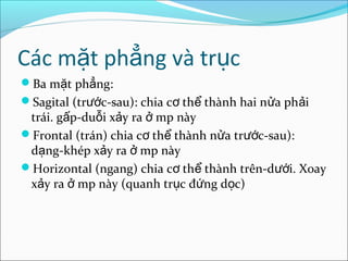 Các m t ph ng và tr cặ ẳ ụ
Ba m t ph ng:ặ ẳ
Sagital (tr c-sau): chia c th thành hai n a ph iướ ơ ể ử ả
trái. g p-du i x y ra mp nàyấ ỗ ả ở
Frontal (trán) chia c th thành n a tr c-sau):ơ ể ử ướ
d ng-khép x y ra mp nàyạ ả ở
Horizontal (ngang) chia c th thành trên-d i. Xoayơ ể ướ
x y ra mp này (quanh tr c đ ng d c)ả ở ụ ứ ọ
 