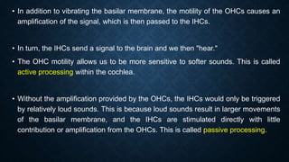 • In addition to vibrating the basilar membrane, the motility of the OHCs causes an
amplification of the signal, which is then passed to the IHCs.
• In turn, the IHCs send a signal to the brain and we then "hear."
• The OHC motility allows us to be more sensitive to softer sounds. This is called
active processing within the cochlea.
• Without the amplification provided by the OHCs, the IHCs would only be triggered
by relatively loud sounds. This is because loud sounds result in larger movements
of the basilar membrane, and the IHCs are stimulated directly with little
contribution or amplification from the OHCs. This is called passive processing.
 