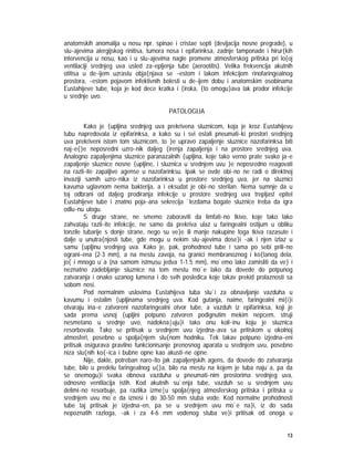 13
anatomskih anomalija u nosu npr. spinae i cristae septi (devijacija nosne pregrade), u
slu~ajevima alergijskog rinitisa, tumora nosa i epifarinksa, zadnje tamponade i hirur{kih
intervencija u nosu, kao i u slu~ajevima nagle promene atmosferskog pritiska pri lo{oj
ventilaciji srednjeg uva usled za~epljenja tube (aerootitis). Velika frekvencija akutnih
otitisa u de~ijem uzrastu obja{njava se ~estom i lakom infekcijom rinofaringealnog
prostora, ~estom pojavom infektivnih bolesti u de~ijem dobu i anatomskim osobinama
Eustahijeve tube, koja je kod dece kratka i {iroka, {to omogu}ava lak prodor infekcije
u srednje uvo.
PATOLOGIJA
Kako je {upljina srednjeg uva prekrivena sluznicom, koja je kroz Eustahijevu
tubu napredovala iz epifarinksa, a kako su i svi ostali pneumati~ki prostori srednjeg
uva prekriveni istom tom sluznicom, to }e upravo zapaljenje sluznice nazofarinksa biti
naj~e{}e neposredni uzro~nik daljeg {irenja zapaljenja i na prostore srednjeg uva.
Analogno zapaljenjima sluznice paranazalnih {upljina, koje tako verno prate svako ja~e
zapaljenje sluznice nosne {upljine, i sluznica u srednjem uvu }e neposredno reagovati
na razli~ite zapaljive agense u nazofarinksu. Ipak se ovde obi~no ne radi o direktnoj
invaziji samih uzro~nika iz nazofarinksa u prostore srednjeg uva, jer na sluznici
kavuma uglavnom nema bakterija, a i eksudat je obi~no sterilan. Nema sumnje da u
toj odbrani od daljeg prodiranja infekcije u prostore srednjeg uva trepljast epitel
Eustahijeve tube i znatno poja~ana sekrecija `lezdama bogate sluznice treba da igra
odlu~nu ulogu.
S druge strane, ne smemo zaboraviti da limfati~no tkivo, koje tako lako
zahvataju razli~ite infekcije, ne samo da prekriva ulaz u faringealni ostijum u obliku
tonzile tubarije s donje strane, nego su ve}e ili manje nakupine toga tkiva razasute i
dalje u unutra{njosti tube, gde mogu u nekim slu~ajevima dose}i ~ak i njen izlaz u
samu {upljinu srednjeg uva. Kako je, pak, prohodnost tube i sama po sebi prili~no
ograni~ena (2-3 mm), a na mestu zavoja, na granici membranoznog i ko{tanog dela,
jo{ i mnogo u`a (na samom istmusu jedva 1-1.5 mm), mo`emo lako zamisliti da ve} i
neznatno zadebljanje sluznice na tom mestu mo`e lako da dovede do potpunog
zatvaranja i onako uzanog lumena i do svih posledica koje takav prekid prolaznosti sa
sobom nosi.
Pod normalnim uslovima Eustahijeva tuba slu`i za obnavljanje vazduha u
kavumu i ostalim {upljinama srednjeg uva. Kod gutanja, naime, faringealni mi{i}i
otvaraju ina~e zatvoreni nazofaringealni otvor tube, a vazduh iz epifarinksa, koji je
sada prema usnoj {upljini potpuno zatvoren podignutim mekim nepcem, struji
nesmetano u srednje uvo, nadokna|uju}i tako onu koli~inu koju je sluznica
resorbovala. Tako se pritisak u srednjem uvu izjedna~ava sa pritiskom u okolnoj
atmosferi, posebno u spolja{njem slu{nom hodniku. Tek takav potpuno izjedna~eni
pritisak osigurava pravilno funkcionisanje prenosnog aparata u srednjem uvu, posebno
niza slu{nih ko{~ica i bubne opne kao akusti~ne opne.
Nije, dakle, potreban naro~ito jak zapaljenjskih agens, da dovede do zatvaranja
tube, bilo u predelu faringealnog u{}a, bilo na mestu na kojem je tuba naju`a, pa da
se onemogu}i svaka obnova vazduha u pneumati~nim prostorima srednjeg uva,
odnosno ventilacija istih. Kod akutnih su`enja tube, vazduh se u srednjem uvu
delimi~no resorbuje, pa razlika izme|u spolja{njeg atmosferskog pritiska i pritiska u
srednjem uvu mo`e da iznosi i do 30-50 mm stuba vode. Kod normalne prohodnosti
tube taj pritisak je izjedna~en, pa se u srednjem uvu mo`e na}i, iz do sada
nepoznatih razloga, ~ak i za 4-6 mm vodenog stuba ve}i pritisak od onoga u
 