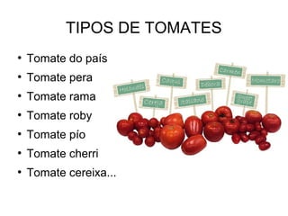 TIPOS DE TOMATES
●

Tomate do país

●

Tomate pera

●

Tomate rama

●

Tomate roby

●

Tomate pío

●

Tomate cherri

●

Tomate cereixa...

 