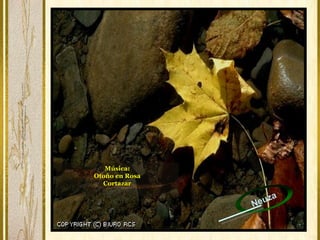 Música:
Otoño en Rosa
Cortazar
Música:
Otoño en Rosa
Cortazar
Neuza
 