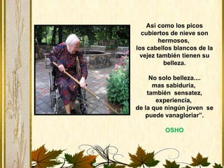 Asi como los picos
cubiertos de nieve son
hermosos,
los cabellos blancos de la
vejez también tienen su
belleza.
No solo belleza....
mas sabiduria,
también sensatez,
experiencia,
de la que ningún joven se
puede vanagloriar”.
OSHO
 