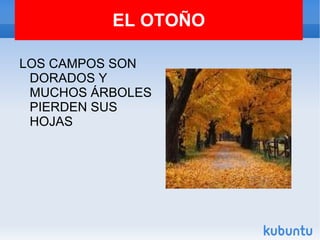 EL OTOÑO LOS CAMPOS SON DORADOS Y MUCHOS ÁRBOLES PIERDEN SUS HOJAS