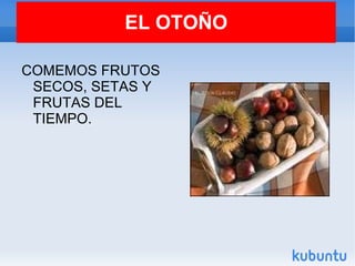 EL OTOÑO COMEMOS FRUTOS SECOS, SETAS Y FRUTAS DEL TIEMPO.