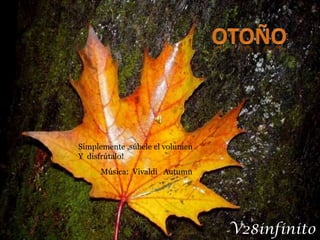 otoño Simplemente ,súbele el volumen  Y  disfrútalo! Música:  Vivaldi   Autumn V28infinito http://v28infinito.blogspot.com/  