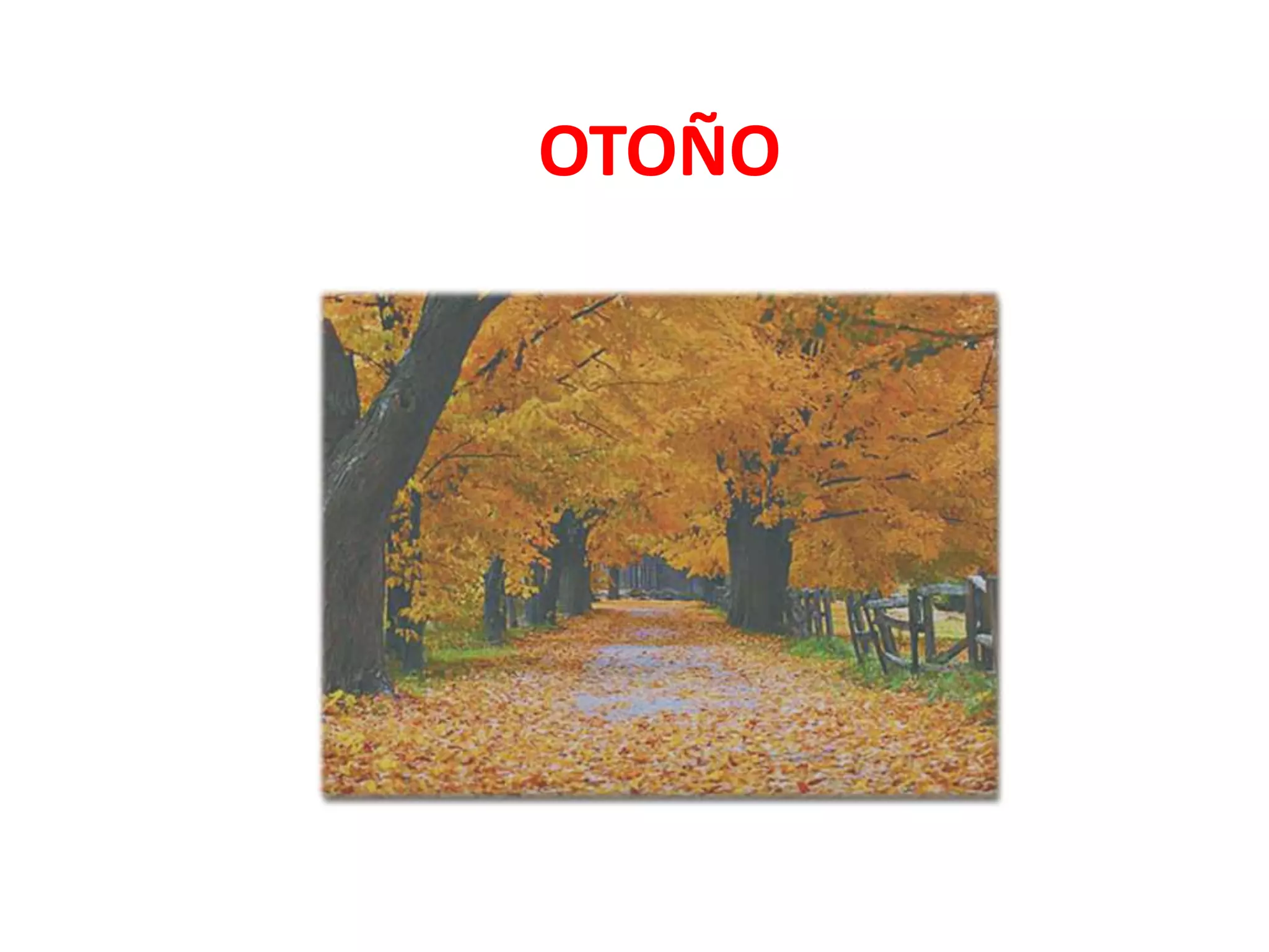 OTOÑO