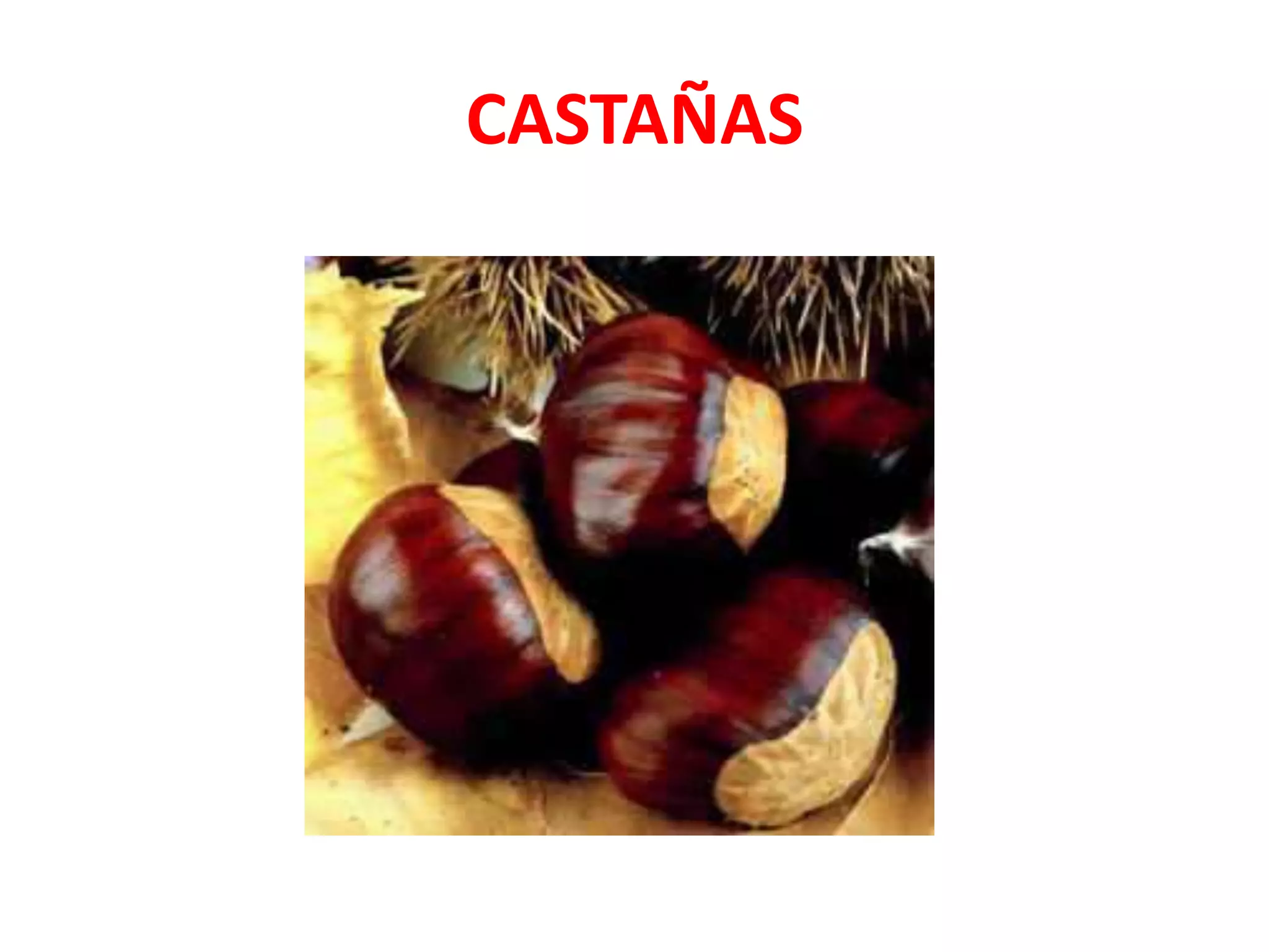 CASTAÑAS