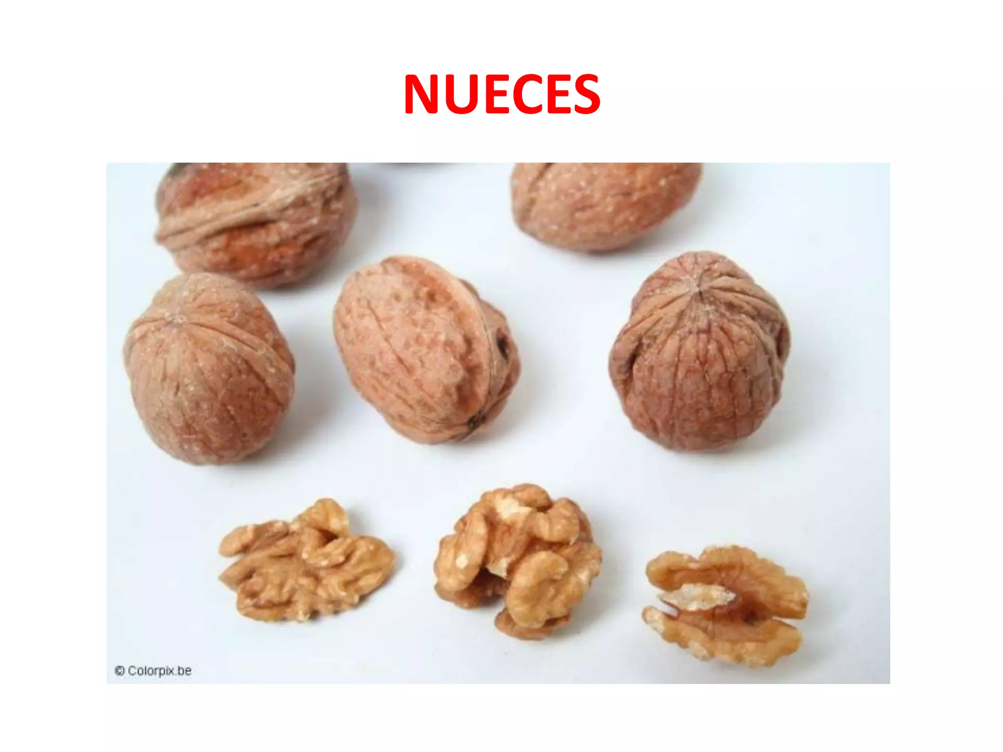 NUECES