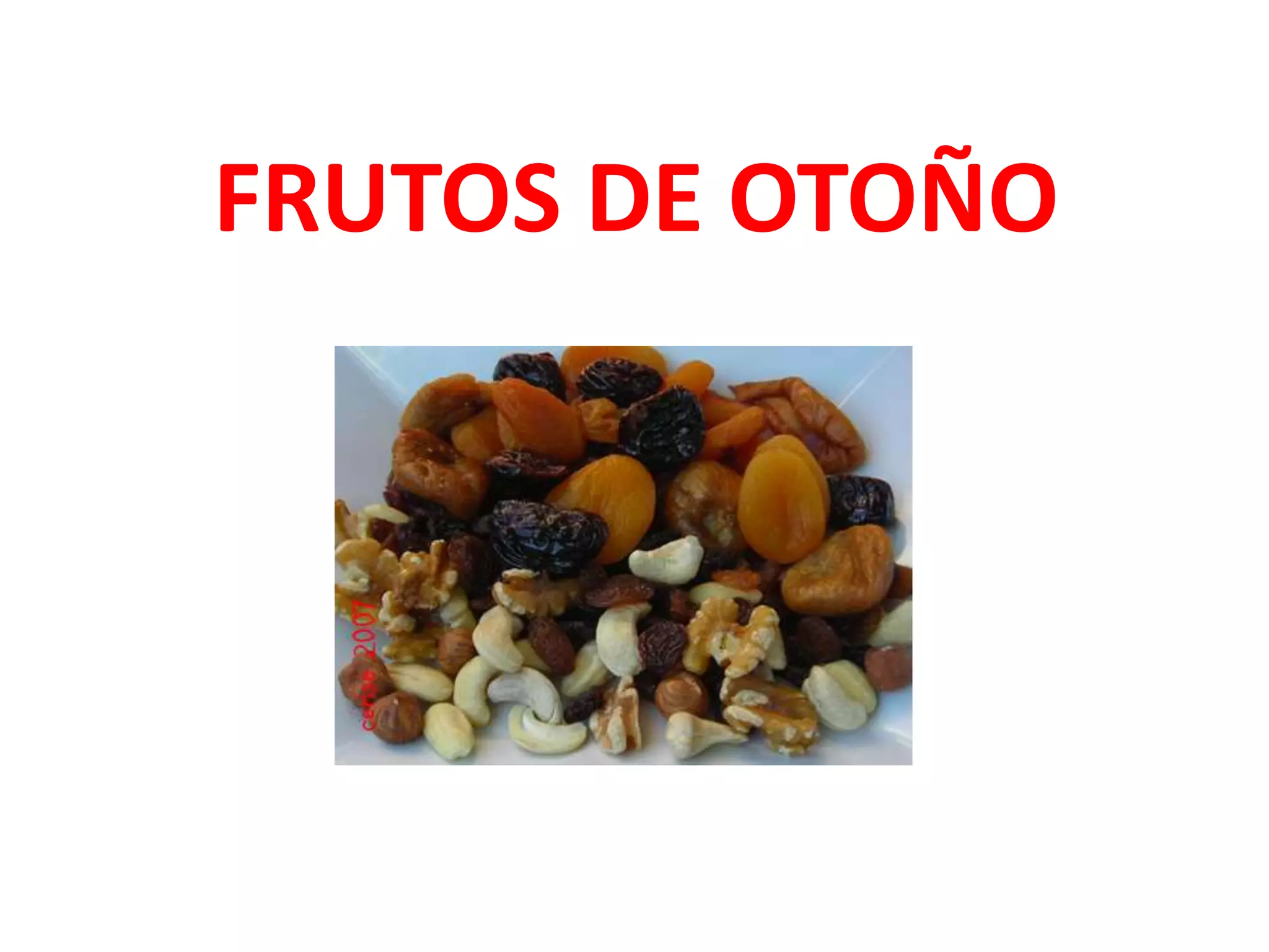 FRUTOS DE OTOÑO