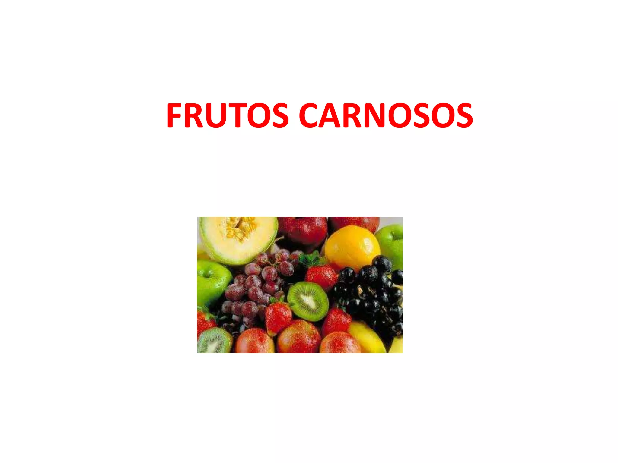 FRUTOS CARNOSOS