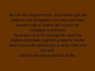 No son mis mejores fotos, pero basta que me
 pidieras que te regalara una para que haya
     puesto todo el interés del mundo en
             conseguir una buena.
   Ya sé que no lo he conseguido, pero me
 habría encantado lograrlo y haberte hecho
abrir la boca de admiración al verla. Para otra
                    vez será.
       Disfruta de este particular otoño.
 