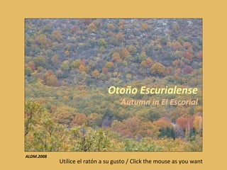 Otoño Escurialense Autumn in El Escorial Utilice el ratón a su gusto / Click the mouse as you want ALDM.2008 