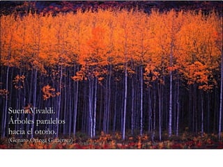 Suena Vivaldi. Árboles paralelos hacia el otoño. (Genaro Ortega Gutiérrez) 