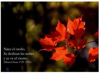Nace el otoño. Se deslizan las nubes y se ve el viento. (Miura Chora 1729 -1781) 