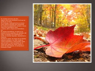 Su nombre proviene del dios
egipcio Atum que simboliza el sol que se
oculta en la tierra.
Sin embargo, habitualmente se conoce
como otoño el período que comprende
los meses de septiembre, octubre y novie
mbre en el hemisferio norte
y marzo, abril y mayo en el hemisferio
sur.
En ambos hemisferios, el otoño es la
estación de las cosechas, por ejemplo, del
maíz y el girasol. En la literatura, el
otoño, en sentido figurado, representa la
madurez.
Durante el otoño, las hojas de los árboles
caducos cambian y su color verde se
vuelve amarillento y amarronado, hasta
que se secan y caen ayudadas por el
viento que sopla con mayor fuerza. A
partir de esta estación, la temperatura
comienza a bajar.
 