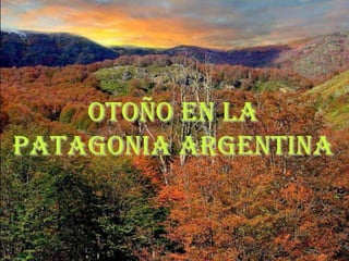 OTOÑO EN LA
PATAGONIA ARGENTINA
 