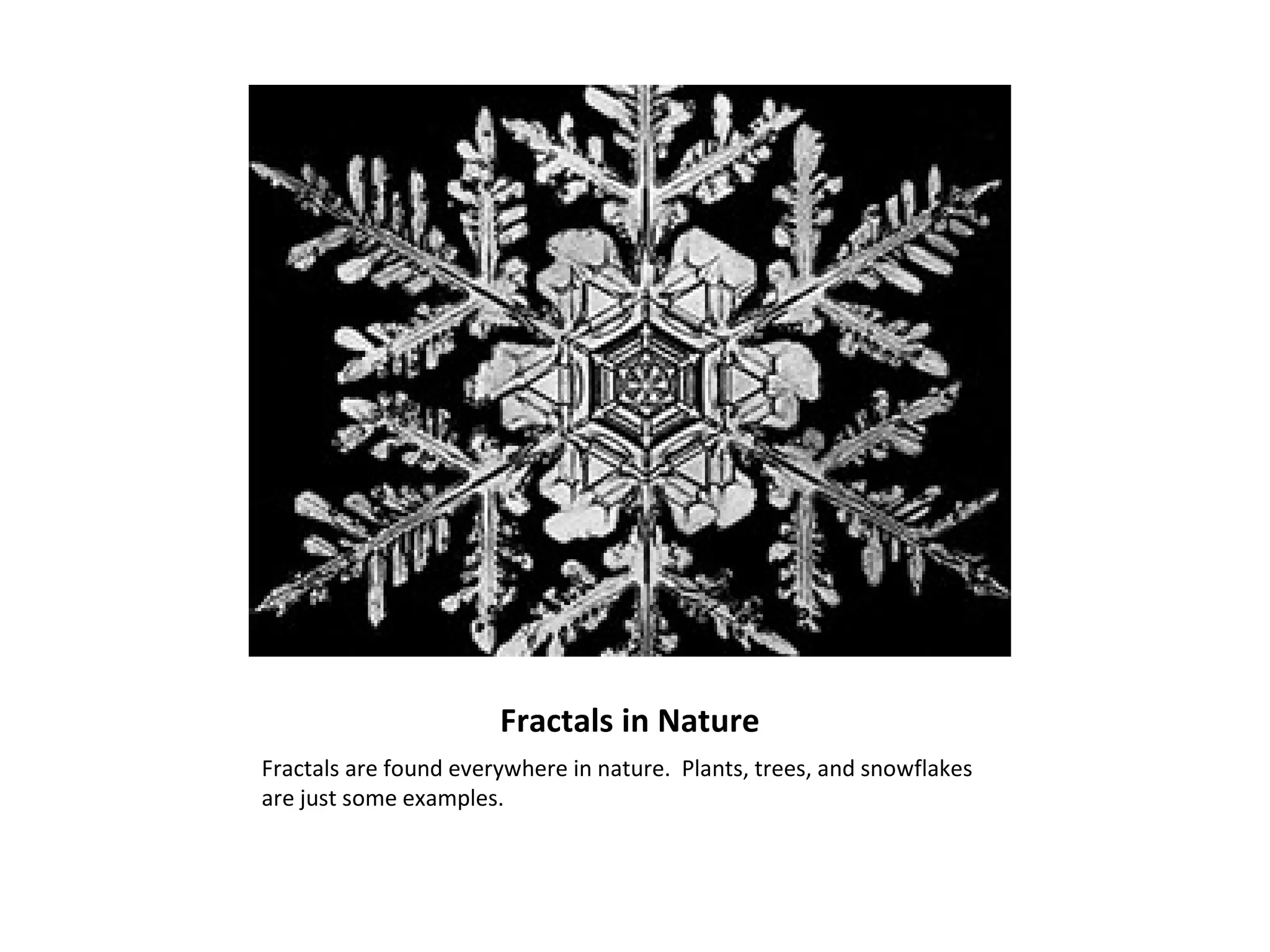 Fractals in Nature Fractals are found everywhere in nature.  Plants, trees, and snowflakes are just some examples. 