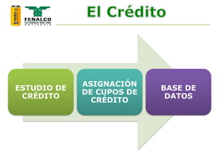 ESTUDIO DE
CRÉDITO
ASIGNACIÓN
DE CUPOS DE
CRÉDITO
BASE DE
DATOS
 