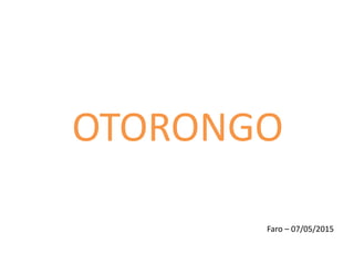 OTORONGO
Faro – 07/05/2015
 