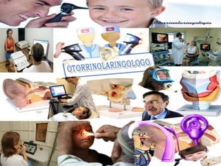 Otorrinolaringologia