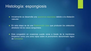Histología: espongiosis
 Inicialmente se desarrolla una apariencia esponjosa debido a la dilatación
vascular.
 En esta etapa se da una Reabsorción ósea que producen los osteocitos
alrededor de los vasos sanguíneos.
 Esta congestión en ocasiones puede verse a través de la membrana
timpánica como una zona rojiza sobre el promontorio denominado signo
de Schwartze
 