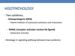 HISOTPATHOLOGY
• Two cytokines,
• Osteoprotegerin (OPG)
• Potent inhibitor of osteoclast activation and maturation
• RANKL (receptor activator nuclear-kb ligand)
• Osteoclast activator
• Breakage in signaling pathway between two cytokines
 