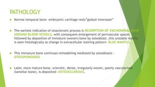 PATHOLOGY
 Normal temporal bone -embryonic cartilage rests”globuli interossei”
 The earliest indication of otosclerotic process is RESORPTION OF ENCHONDRAL BONE
AROUND BLOOD VESSELS, with consequent enlargement of perivascular spaces
followed by deposition of immature (woven) bone by osteoblast ,this unslable matrix
is seen histologically as change in extracellular staining pattern- BLUE MANTLE.
 This immature bone continues remodelling mediated by osteoblasts -
OTEOSPONGIOSIS
 Later, more mature bone, sclerotic, dense, irregularly woven, poorly vascularised
(lamellar bone), is deposited- OSTEOSCLEROSIS,
 
