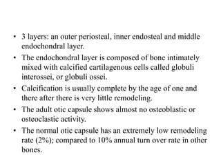 • 3 layers: an outer periosteal, inner endosteal and middle
endochondral layer.
• The endochondral layer is composed of bone intimately
mixed with calcified cartilagenous cells called globuli
interossei, or globuli ossei.
• Calcification is usually complete by the age of one and
there after there is very little remodeling.
• The adult otic capsule shows almost no osteoblastic or
osteoclastic activity.
• The normal otic capsule has an extremely low remodeling
rate (2%); compared to 10% annual turn over rate in other
bones.
 