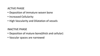 ACTIVE PHASE
• Deposition of immature woven bone
• Increased Cellularity
• High Vascularity and Dilatation of vessels
INACTIVE PHASE
• Deposition of mature bone(thick and cellular)
• Vascular spaces are narrowed
 